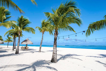 热带海滩白色沙子棕榈树莫恩<strong>毛里求斯</strong>白色桑迪海滩蓝色的海洋棕榈树<strong>毛里求斯</strong>