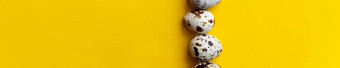 前视图行小斑点鹌鹑鸡蛋黄色的背景最小的快乐复活节作文健康的生活方式饮食概念复制空间有机自然蛋网络横幅