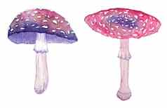 水彩手画插图有毒的森林木安妮塔蘑菇紫色的粉红色的黑暗万圣节女巫剪纸艺术神秘的魔法放荡不羁的风格