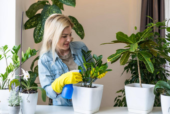 年轻的女商人喷雾植物花盆女人有爱心的房子植物女人采取护理植物首页喷涂植物纯水喷雾瓶