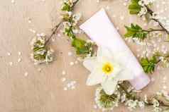 空白白色化妆品管春天开花树分支白色花柔和的背景前面视图