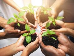 日益增长的意味着成功集团认不出来人持有植物日益增长的土壤