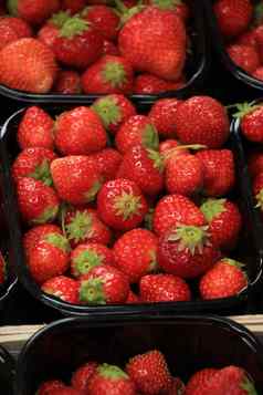 草莓小容器市场摊位