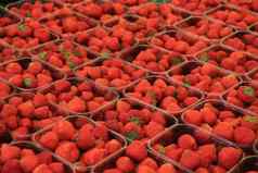 草莓小塑料容器市场摊位