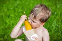 可爱的金发碧眼的男孩开胃的吃玉米夏天坐着银行河多汁的草有趣的面部表达式