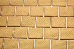 平原饼干砖模式饼干墙