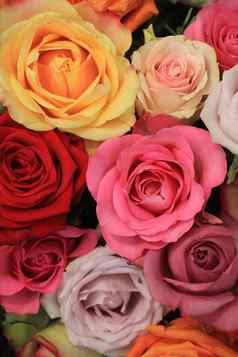 色彩斑斓的婚礼玫瑰花婚礼装饰