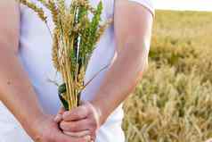 小麦耳朵特写镜头背景设置太阳蓝色的天空阳光手持有花束小麦时间收获食物危机世界