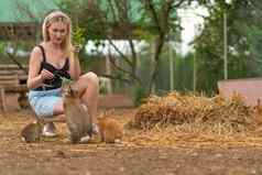 女孩兔子复活节棕色（的）欧芹提要兔子白色毛茸茸的花园毛啮齿动物头发小国内美丽的明亮的有趣的可爱的