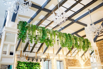 绿色新鲜的花挂天花板装饰节日大厅