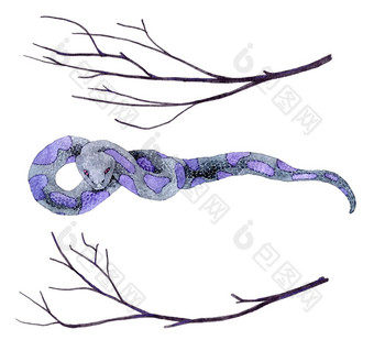 水彩手画illsutration可怕的紫色的蛇黑色的树分支机构树枝女巫巫术概念神秘的魔法神秘的秋天剪纸艺术有毒的蛇