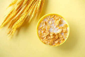 慢运动<strong>倒牛奶</strong>玉米片黄色的背景
