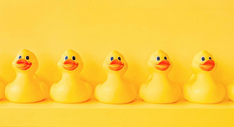 设计黄色的橡胶鸭子行玩具设计架子上装饰沟通社区协会组织橡胶鸭模式黄色的概念橡胶极好的浴玩具背景黄色的鸭子行