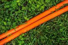 明亮的橙色软管行绿色草坪上运行对角视图摘要园艺背景