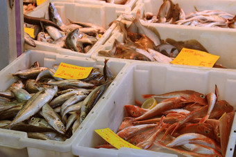 新鲜的鱼市场摊位标签价格产品信息荷兰鲭鱼常见的轻拍