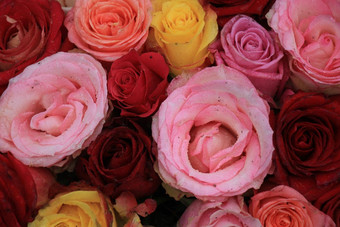 五彩缤纷的玫瑰花婚礼装饰