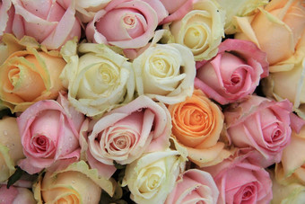 粉红色的<strong>橙色</strong>白色玫瑰混合新娘花束