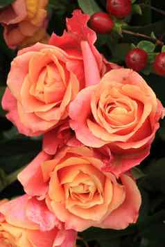 大粉红色的玫瑰花婚礼装饰
