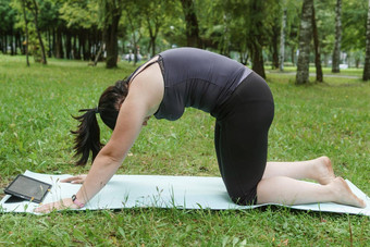 迷人的浅黑肤色的女人女人大号身体积极的实践体育自然女人瑜伽公园体育席