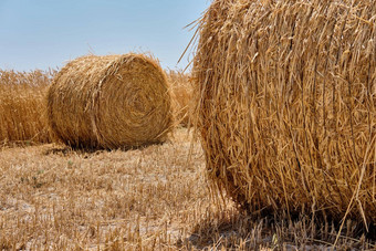 一半收获成熟的小麦场干草堆<strong>农村农村</strong>景观金小穗夏天收获农业业务概念