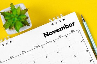 11月桌子上日历笔植物能黄色的背景