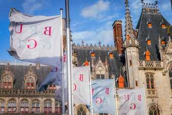 比利时旗帜佛兰德的体系结构使用市场广场