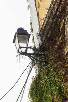 古董灯笼墙建筑成双的艾薇电线