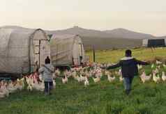 童年记忆后视镜拍摄可爱的孩子们玩鸡农场
