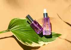紫色的罐子保湿血清滋养皮肤护理化妆品产品绿色叶沙子颜色背景