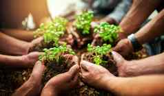 团队合作增长植物手集团团队生态人农业协作绿色业务多样化的人持有日益增长的豆芽启动公司