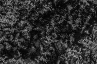 黑色的羊毛纹理皮毛背景黑暗软材料摘要表面模式自然