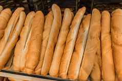 新鲜的烤货物面包店面包魔杖面包背景