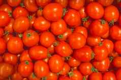 红色的西红柿健康的有机新鲜的健康的食物背景