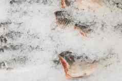 生冻鱼冷冰新鲜的海鲜超市计数器
