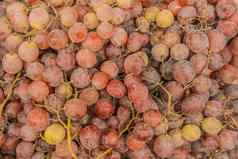 红色的葡萄农业收获自然成熟的酒背景