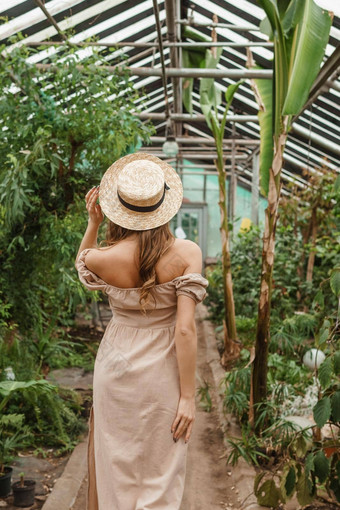 美丽的年轻的女人需要护理植物温室概念园艺<strong>环保生活</strong>方式