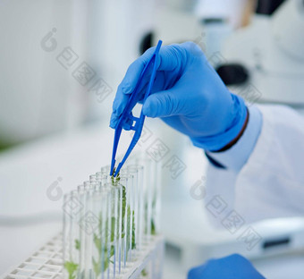 日益增长的快特写镜头认不出来科学家放置小植物瓶准备好了尝试内部实验室一天