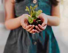 学习培养增长自然认不出来年轻的女孩持有植物日益增长的土壤站在室内