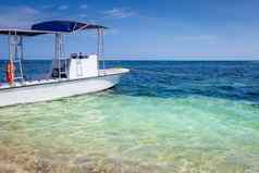 田园加勒比海滩摩托艇潜水区英里海滩牙买加