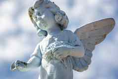 六翼天使天使伤心花宽恕希望天