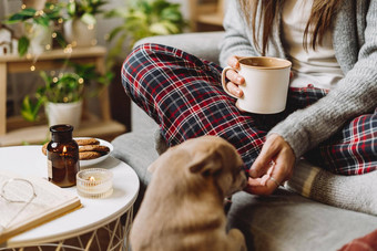 舒适的女人针织冬天温暖的袜子毛衣网纹睡衣吃饼干狗休息沙发上首页圣诞节假期秋天热喝杯子可可咖啡