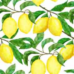 水彩手画无缝的模式柠檬柑橘类水果夏天明亮的有机甜蜜的美味的食物植物打印收获树点缀纺织