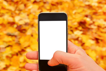 空白下降叶子秋天移动电话模型手持有智能手机自然秋天背景叶子下降出售移动模型智能手机空白屏幕手电话自然秋天背景移动手