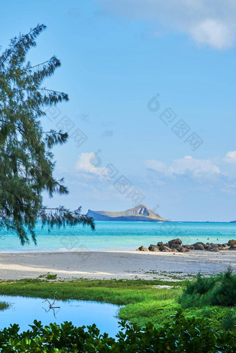 波纹管场海滩公园瓦胡岛夏威夷照片著名的夏威夷海滩波纹管场海滩公园关闭怀马纳洛的岛瓦胡岛夏威夷