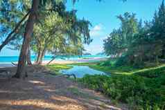 波纹管场海滩公园瓦胡岛夏威夷照片著名的夏威夷海滩波纹管场海滩公园关闭怀马纳洛的岛瓦胡岛夏威夷