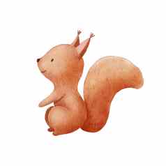 水彩可爱的松鼠手画字符森林动物孤立的白色背景林地插图