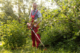 割草草电草坪上割草机花园工作概念男人。割草手割草机花园