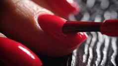 主指甲修饰师适用于装饰明亮的红色的清漆指甲板刷