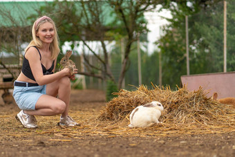 女孩欧芹棕色（的）兔子提要复活节兔子白色毛茸茸的健康的概念集团坐着快乐毛茸茸的国内野生眼睛有趣的孤立的