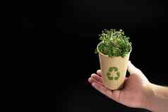男人的手持有卡夫杯绿色内部概念回收生活塑料